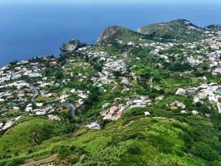 Villa Gesualda - Ischia - 5
