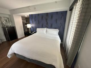 Holiday Inn Express - Dallas Downtown by IHG - 0