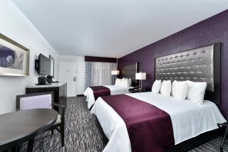 Clarion Inn & Suites Across From Universal Orlando Resort - 4