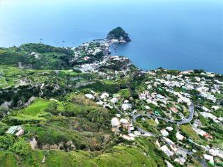 Villa Gesualda - Ischia - 2