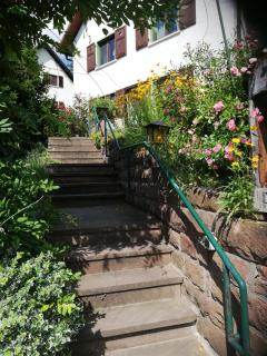 La casita linda - Eberbach - 7