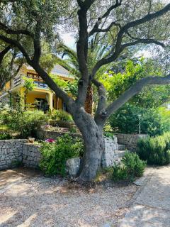 Apartment Monte Rosa - Mali Lošinj - 5
