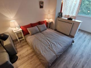 Cosy 2 rooms apartment with a view near the forest - Predeal - 4