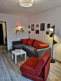 Cosy 2 rooms apartment with a view near the forest - Predeal - 8