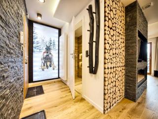 VisitZakopane - Tatra Ski Apartment - Zakopane - 1