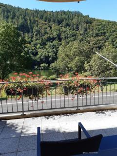 Haus-Moselliebe-2P-mit-Balkon-und-Moselblick - Ediger-Eller - 8