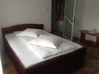 Pension Nicoleta - Costeşti - 5