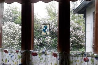 Villa Vintage - 8
