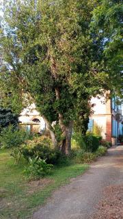 Comme chez vous "pour 4 personnes" - Puycornet - 9