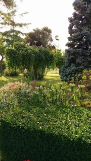 Comme chez vous "pour 4 personnes" - Puycornet - 7