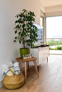 Golden Suit Tivat Heights-Pool & Seaview C1 - 4