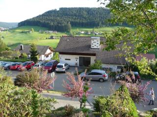 Schwarzwald-Ferienwohnungen Begert - Baiersbronn - 7