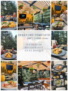 Cabañas Boutiques TinyChillHouse - Mineral del Chico - 8