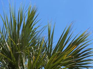 LakeView Penthouse Elegance condo - Orlando - 6