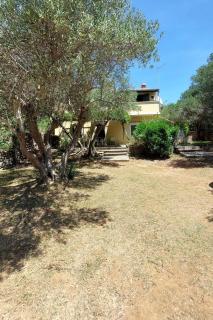 Apartments by the sea Cove Pogana, Cres - 21464 - Punta Križa - 4