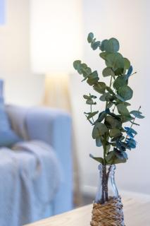 Charming Downtown hideaway 1 bed 1 bath - 1