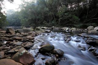 Rainforest River Retreat Kangaroo Valley - Upper Kangaroo River - 8