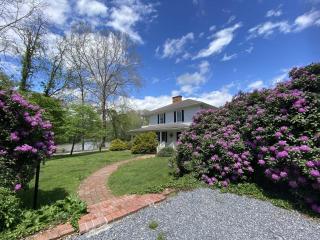 Southern Charm Riverside home - Bryson City - 8