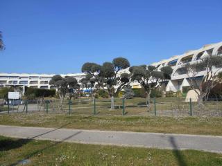 Appartement Climatisé 6 pers avec Terrasse et Piscine à Port Camargue - FR-1-250-253 - Le Grau-du-Roi - 2