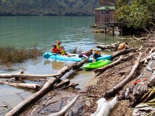 Mahakipawa Waterfront Hideaway - Belvue Bay Home - Linkwater - 8