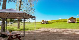 Aimasas Camping - Lielie Unguri - 3