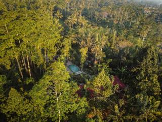 Daydream Lodge - Tampaksiring - 0