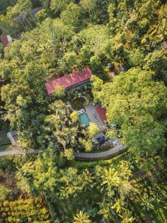 Daydream Lodge - Tampaksiring - 9