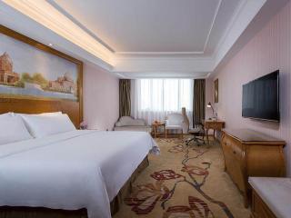 Vienna International Hotel ASEAN Avenue Dongxing - 4