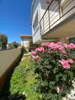 Casa Summer - Cecina - 3