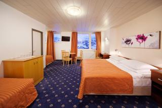 Bled Rose Hotel - Bled - 9