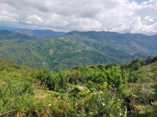 Rama-rama Homestay Kundasang - 4