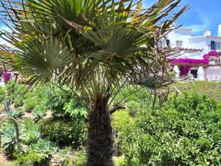 Newly Renovated 2 Bedroom Beachfront House - Sitio de Calahonda - 7