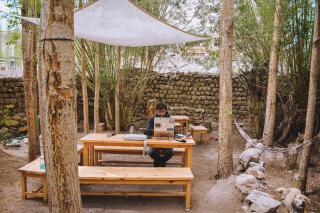 Raybo Hostel - Leh - 1