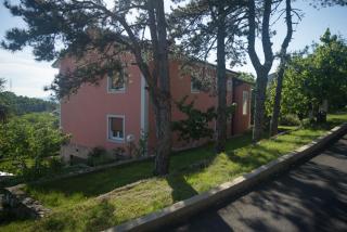 Apartment Galjanić - Buzdohanj - 6