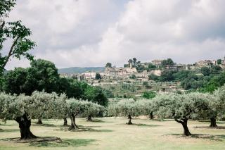 Le Domaine du Fortin - Ménerbes - 5