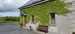The Garden Gates Guest Accommodation - Castlebar - 4