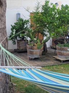 Chez Jeanfi - Fronsac - 8