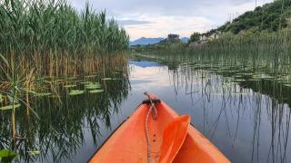 Wild Beauty house Skadar lake - 9