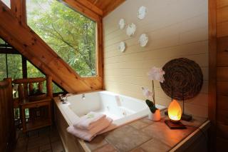 Always & Forever Holiday home - Sevierville - 3