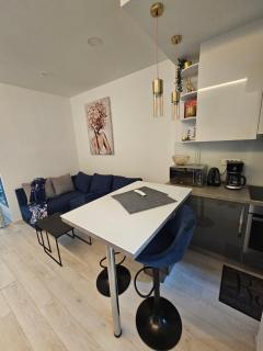 Apartment Oliver - Rijeka - 8