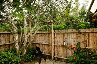 Aguas Claras Bamboo Ecolodge - Guaduas - 2