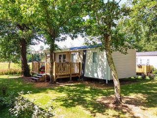 Mobil home - Domaine du Vieux Moulin - Saint-Julien-en-Born - 0