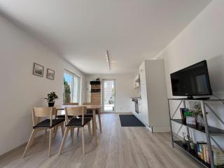 Apartment Sunshine - Höchst - 8