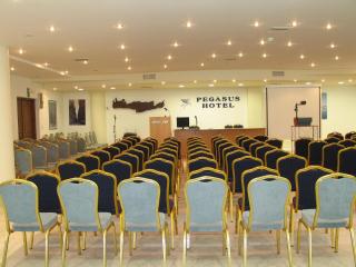 Pegasus Hotel - 3