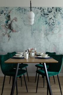 Apartament Radosny - 5