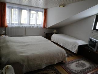 Blumauer Apartments - Ljubljana - 2