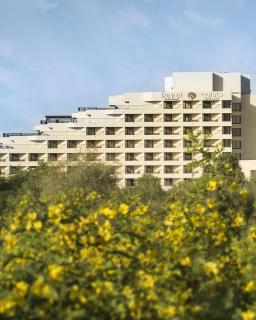 Danat Al Ain Resort - Al Ain - 5