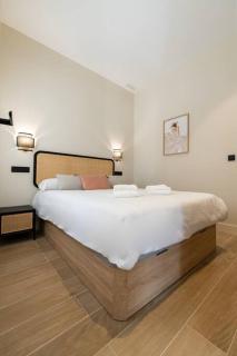 Amplio y cómodo apartamento cerca Plaza Castilla - 6