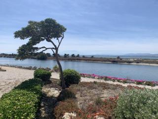 Maison 6P - Lac Marin - Port Leucate - 9