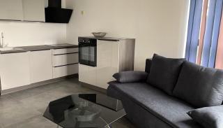 Apartments Vila Sani Crikvenica - Crikvenica - 5
